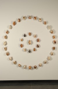 Circle作品照片(點圖放大將會開啟新視窗)